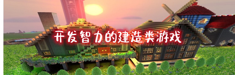 开发智力的建造类游戏