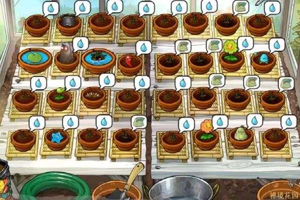 植物大战僵尸九五版95版