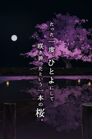 脱出游戏一夜樱(ひとよざくら)