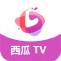西瓜TV影视