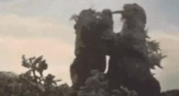 奥特曼大树怪兽核 酸检测图片