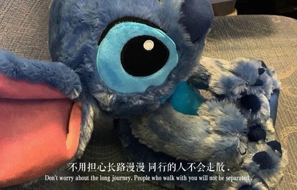 保持热爱奔赴山海图片