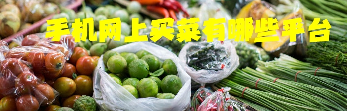 手机网上买菜有哪些平台