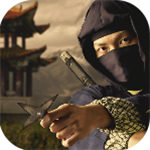 忍者刺客战士