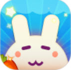 一起养兔兔