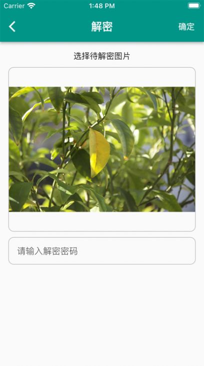 加解集大师兄影视