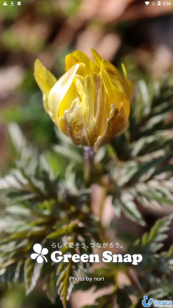 GreenSnap植物识别