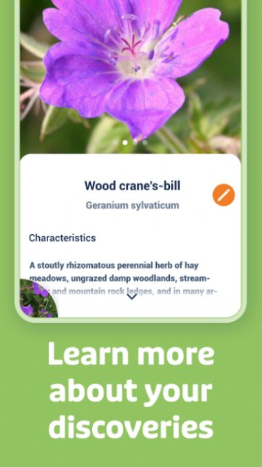 Flora Incognita植物识别