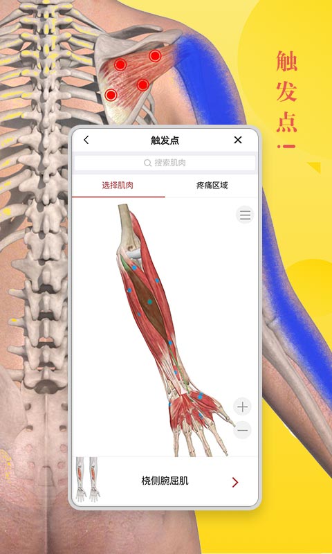 3dbody解剖图手机版