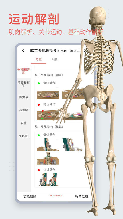 3dbody解剖图手机版