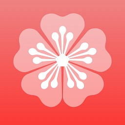 梅花图片视频编辑