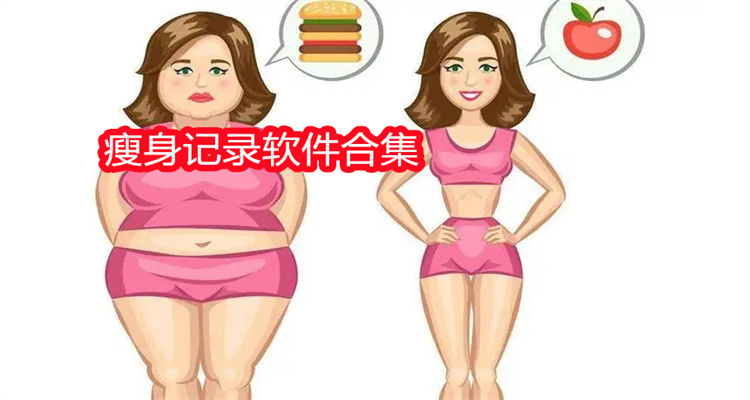 瘦身记录软件合集