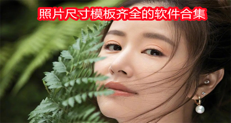 照片尺寸模板齐全的软件合集