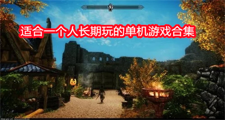 适合一个人长期玩的单机游戏合集
