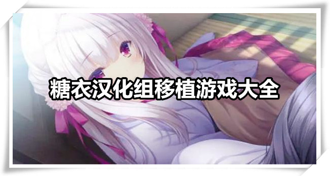 糖衣汉化组移植游戏