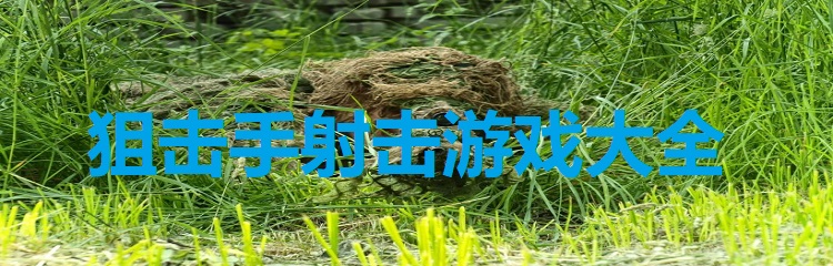 狙击手射击游戏大全