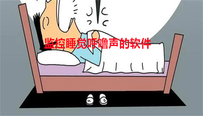 监控睡觉呼噜声的软件