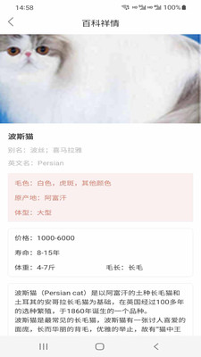 小猫先生 小猫先生