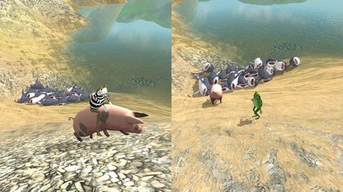 神奇青蛙中文版