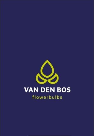 Van den Bos 花球茎