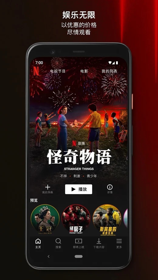网飞中国版