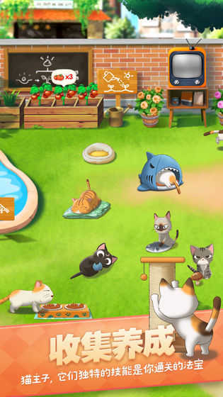 猫语咖啡破解版
