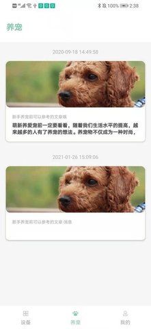 聚宠宠物