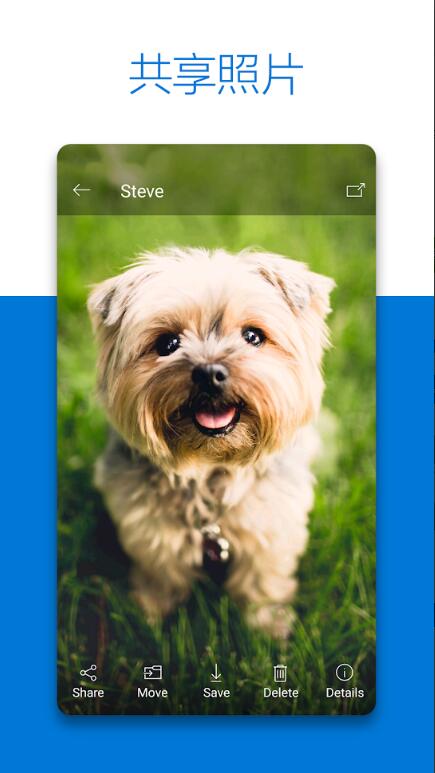 微软网盘(OneDrive)app安卓版