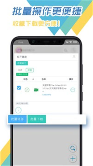 飞鸟下载器app