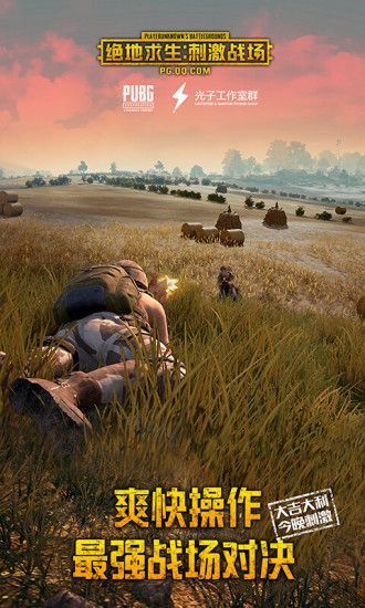 刺激战场除草助手6.0