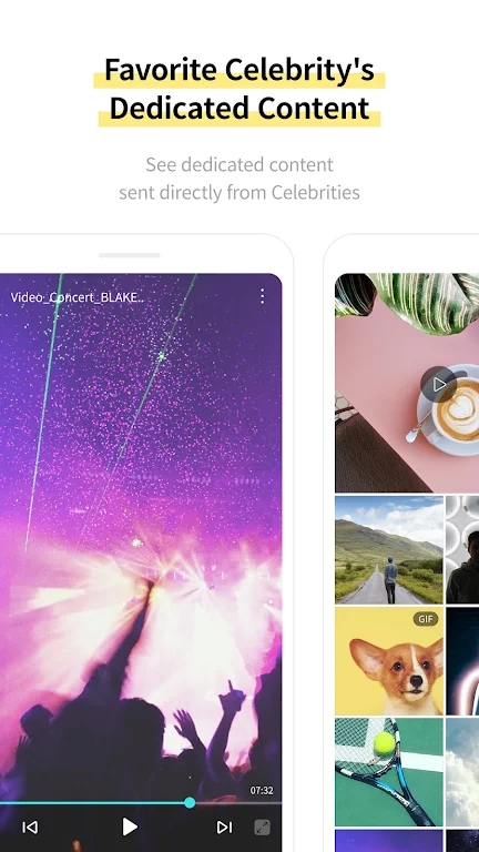 SPORTS bubble最新安装包