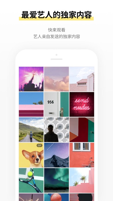 STARSHIP bubble粉丝投票软件