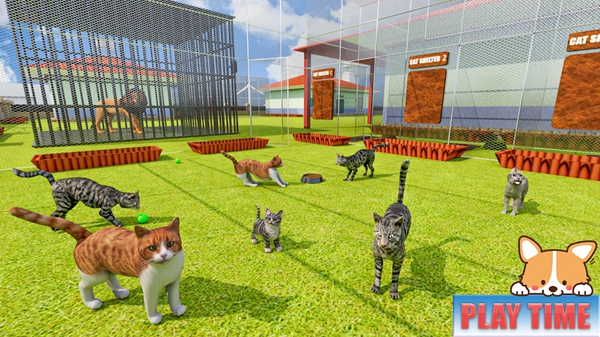 动物庇护所游戏