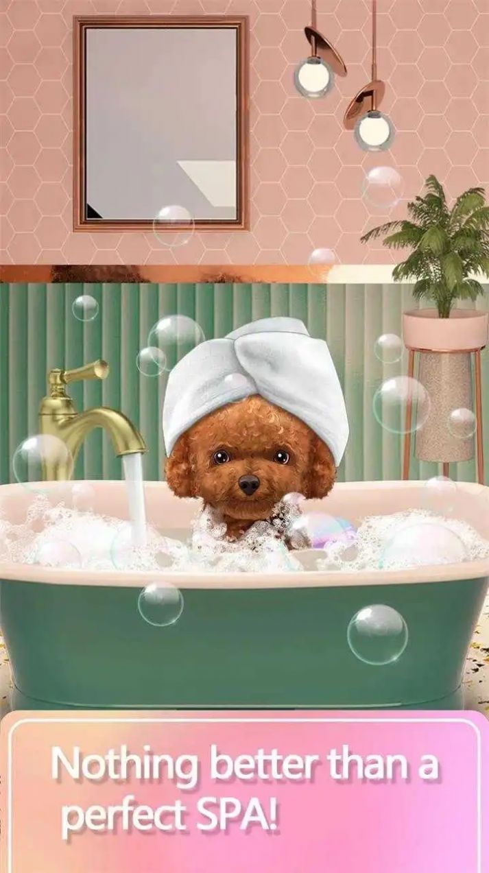 宠物化妆师游戏