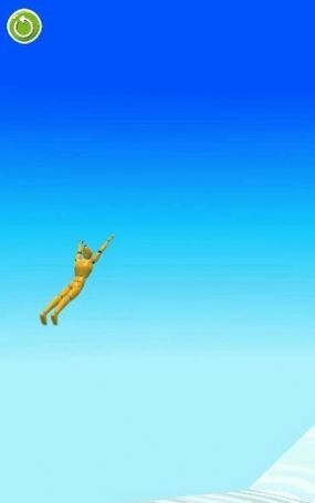 手翻大挑战游戏