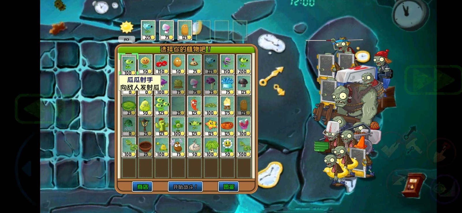 植物大战僵尸WER版