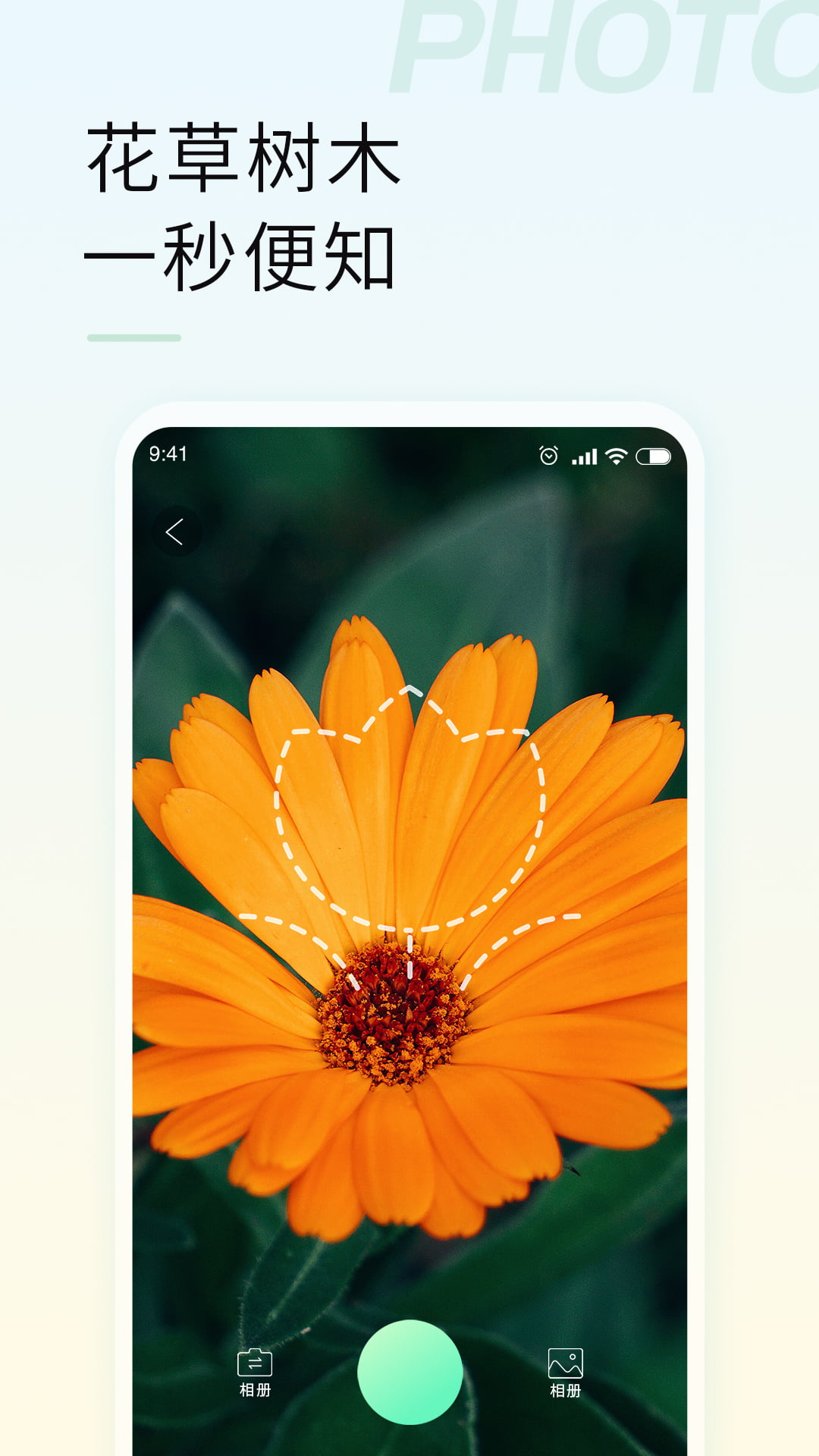 智能拍照识物app