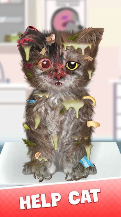 Cat Makeover