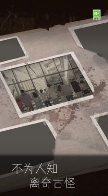 我眼力贼好游戏