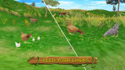 小鸡模拟器1.1.8