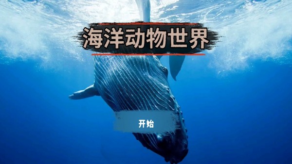 海洋动物世界 海洋动物世界