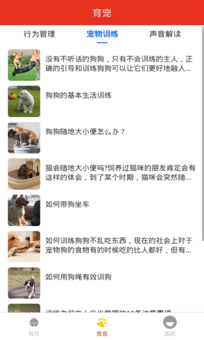 萌宠宠物之家-插图2 萌宠宠物之家-插图2