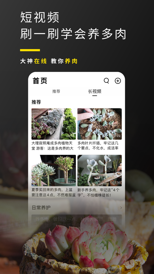 多肉圈