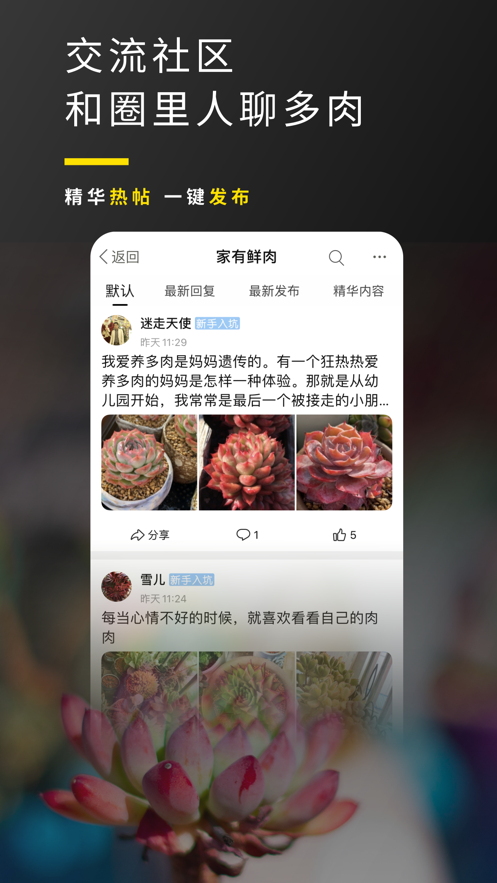 多肉圈