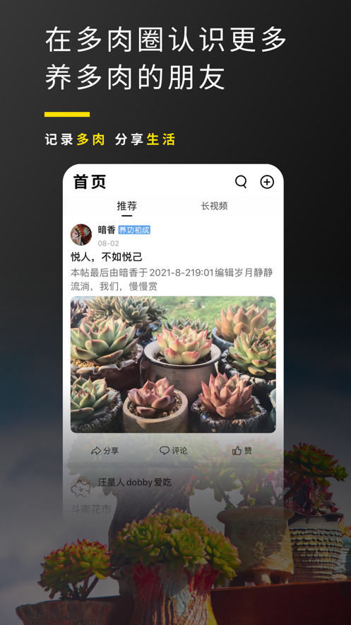多肉圈-插图1