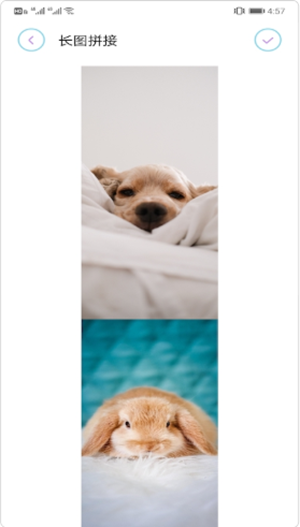 拼长图大师 拼长图大师