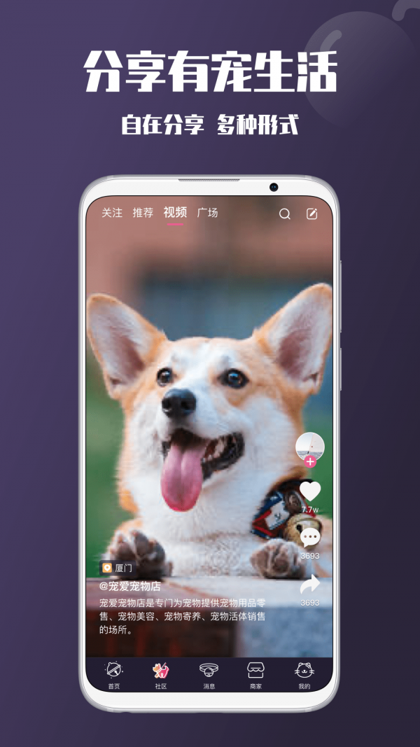 憨憨宠物 憨憨宠物