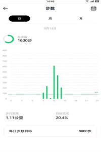 花豹穿戴 花豹穿戴