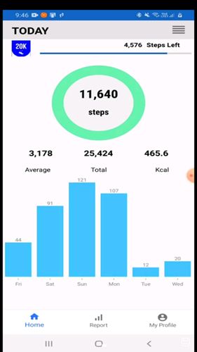 火凤凰计步器 火凤凰计步器