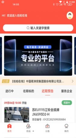 拍拍在线